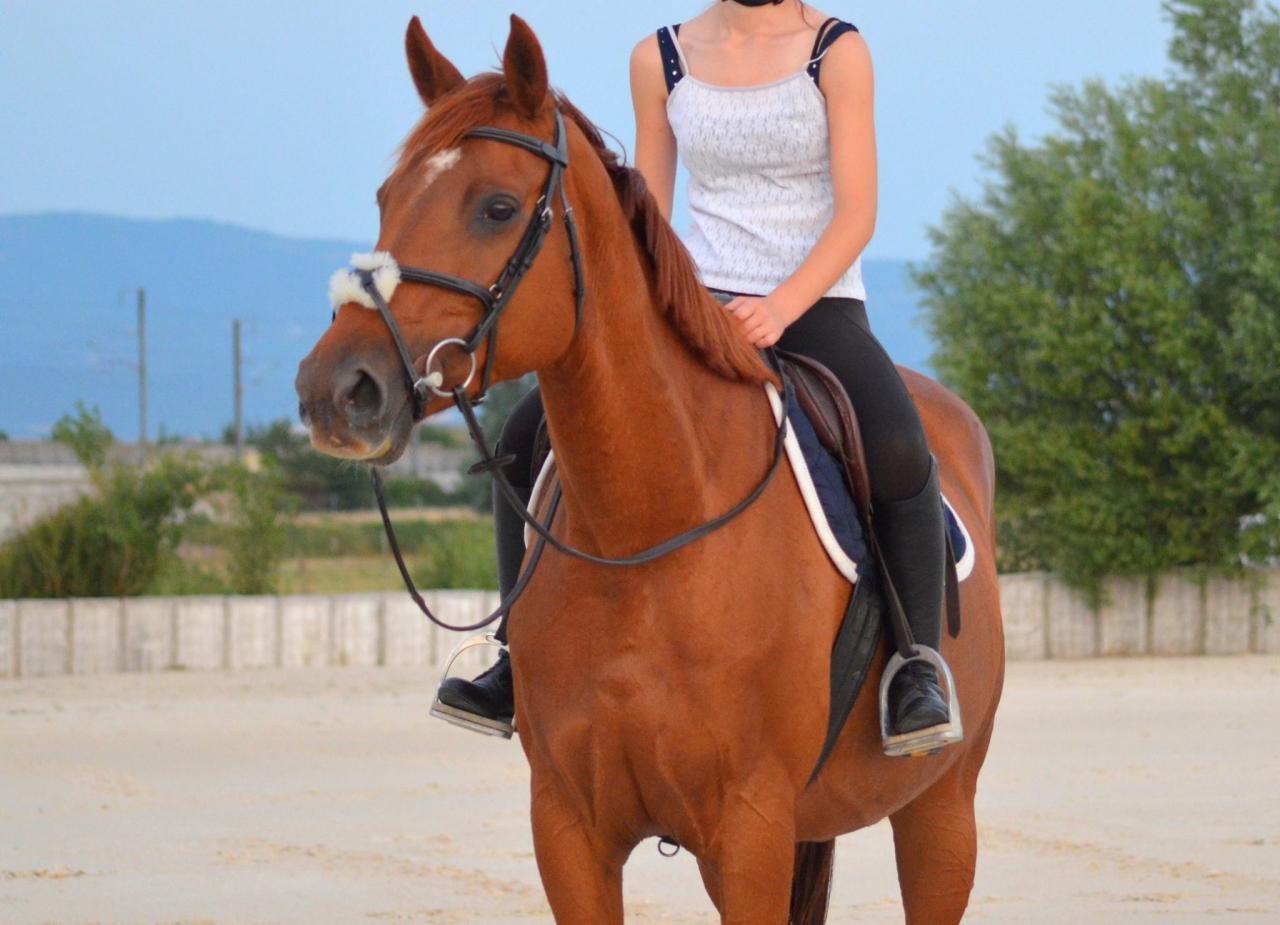 Tinka de Loufaut